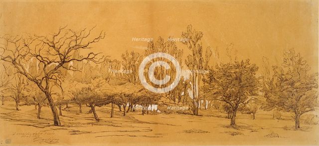 View of an Orchard at Saint-Denis, mid 19th century Artist: Charles Francois Daubigny.