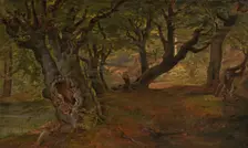 View of Bregentved Forest, Sjaeeland, mid 1830s. Creator: Frederik Sødring