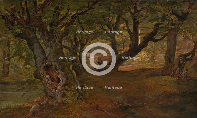 View of Bregentved Forest, Sjaeeland, mid 1830s. Creator: Frederik Sødring.