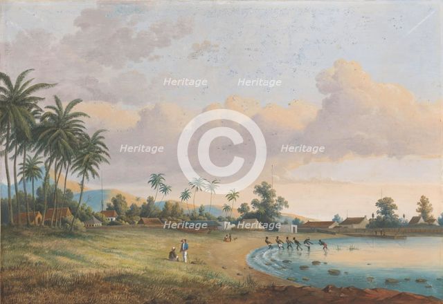 View of Carnation Java, 1838-1898. Creator: Charles William Meredith van de Velde.