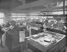 View of Composing Room 1919