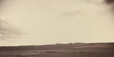 View of Fields with Cows, 1850s-1860s. Creator: Unknown