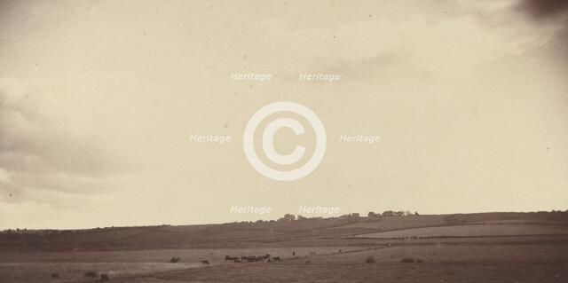 View of Fields with Cows, 1850s-1860s. Creator: Unknown.
