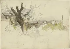 View of Florence from Monte Oliveto, 1830. Creator: Johann Nepomuk Rauch