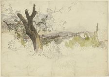 View of Florence from Monte Oliveto, 1830. Creator: Johann Nepomuk Rauch