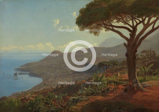 View of Funchal on Madeira, 1853. Creator: J. F. Eckersberg.