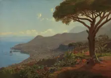 View of Funchal on Madeira, 1853. Creator: J. F. Eckersberg