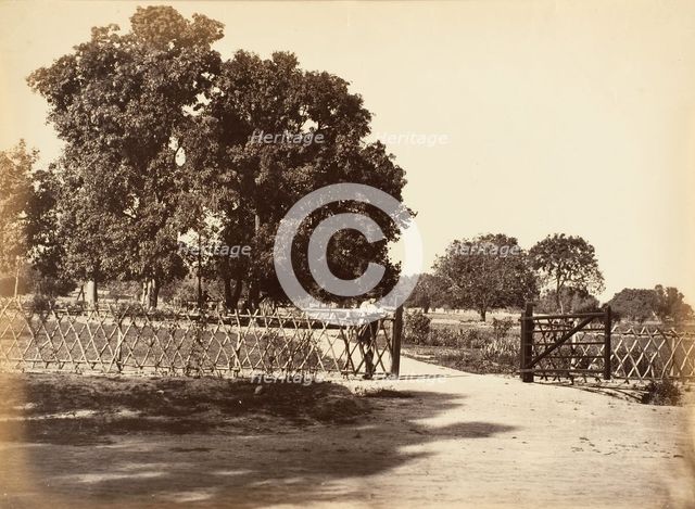 View of Garden, 1850s. Creator: Unknown.
