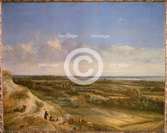 View of Haarlem from the dunes.