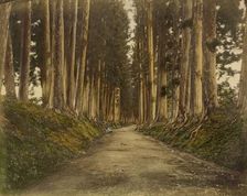 View of Imaichi, 1865. Creator: Unknown