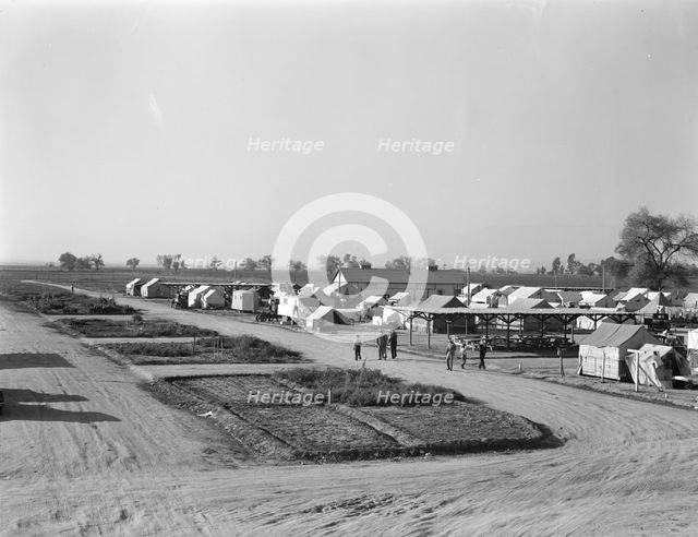 View of Kern County migrant camp showing community garden plots, California, 1936. Creator: Dorothea Lange.