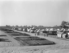 View of Kern County migrant camp showing community garden plots, California, 1936. Creator: Dorothea Lange