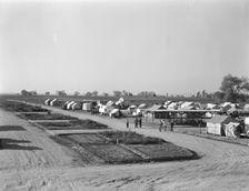 View of Kern County migrant camp showing community garden plots, California, 1936. Creator: Dorothea Lange