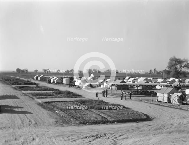 View of Kern County migrant camp showing community garden plots, California, 1936. Creator: Dorothea Lange.