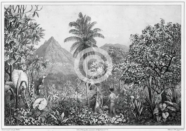 View of Kosrae Island, Caroline Islands, 19th century. Creators: Friedrich Heinrich Kittlitz, Godefroy Engelmann, Jules David.