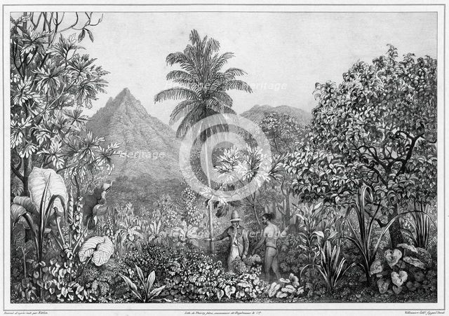 View of Kosrae Island, Caroline Islands, 19th century. Creators: Friedrich Heinrich Kittlitz, Godefroy Engelmann, Jules David.
