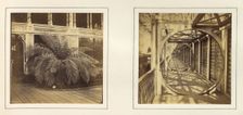 [View of Large Plant with Sign Requesting Viewers Not to Touch; Telescope Gallery], ca. 1859. Creator: Attributed to Philip Henry Delamotte