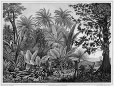 View of Lukunor Island, Lower Caroline Islands, 19th century. Creators: Alexander Postels, Godefroy Engelmann, Emile-Charles Wattier