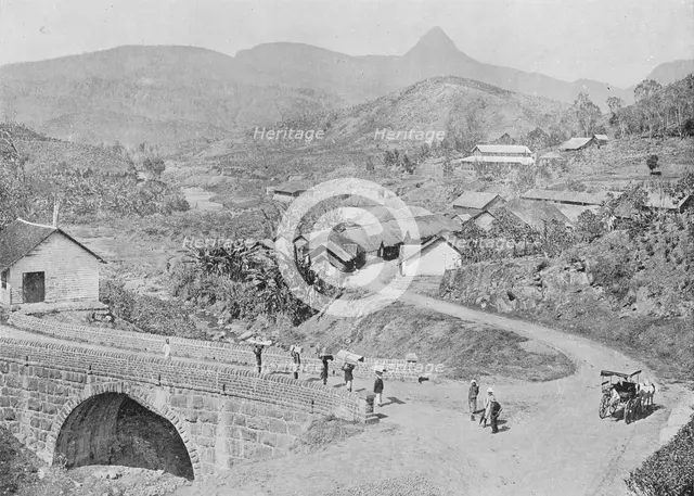 'View of Maskeliya showing Adam's Peak', c1890, (1910). Artist: Alfred William Amandus Plate.
