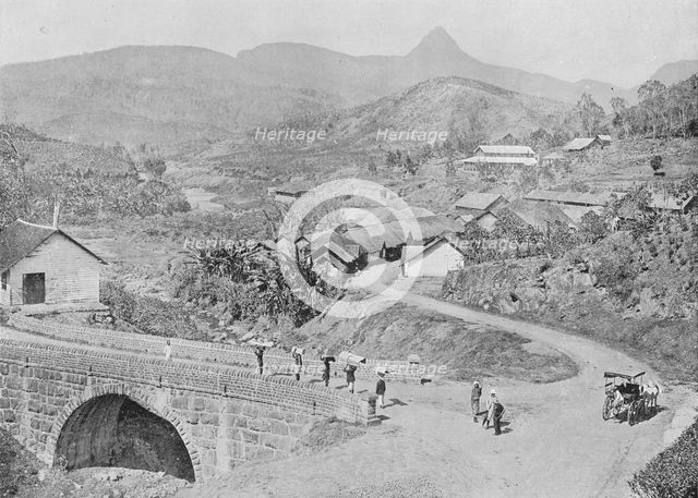 'View of Maskeliya showing Adam's Peak', c1890, (1910). Artist: Alfred William Amandus Plate.
