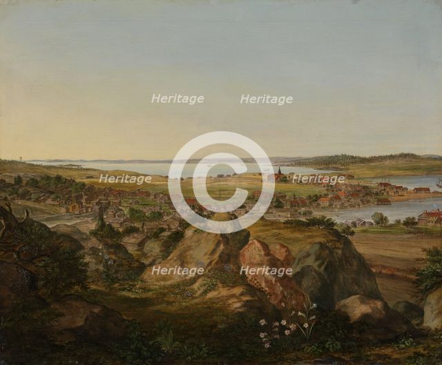 View of Moss, 1699. Creator: Jacob Koninck the Younger.