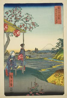 View of Mount Fuji from a Teahouse at Zoshigaya (Zoshigaya Fujimi chaya), from the..., 1858. Creator: Ando Hiroshige