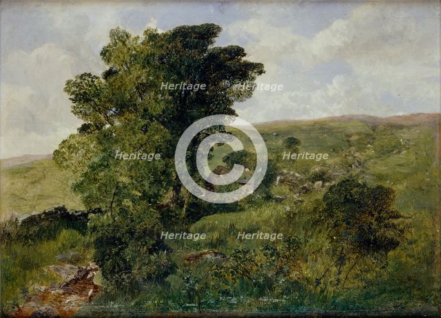 View of Nantlle, Caernarvonshire, 1855. Artist: Alfred William Hunt.