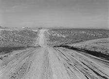 View of newly reclaimed bench land, Dead Ox Flat, Malheur County, Oregon, 1939. Creator: Dorothea Lange
