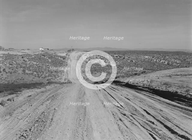View of newly reclaimed bench land, Dead Ox Flat, Malheur County, Oregon, 1939. Creator: Dorothea Lange.
