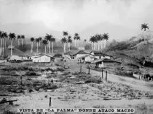 View of Palma, (1896), 1920s