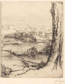 View of Reeds (Coin de roseau). Creator: Alphonse Legros