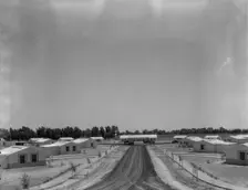 View of Resettlement Administration's part-time farms, Glendale, Arizona, 1937. Creator: Dorothea Lange