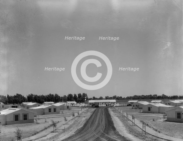 View of Resettlement Administration's part-time farms, Glendale, Arizona, 1937. Creator: Dorothea Lange.