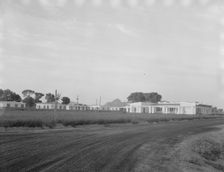View of Resettlement Administration's part-time farms, Glendale, Arizona, 1937. Creator: Dorothea Lange