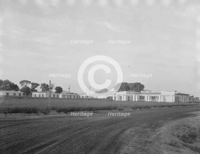 View of Resettlement Administration's part-time farms, Glendale, Arizona, 1937. Creator: Dorothea Lange.