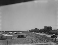 View of Resettlement Administration's part-time farms, Glendale, Arizona, 1937. Creator: Dorothea Lange