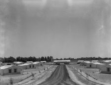 View of Resettlement Administration's part-time farms, Glendale, Arizona, 1937. Creator: Dorothea Lange