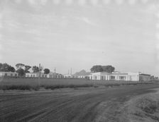 View of Resettlement Administration's part-time farms, Glendale, Arizona, 1937. Creator: Dorothea Lange