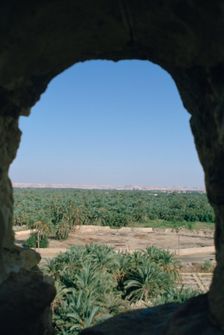 View of Siwa from Aghurmi, Egypt, 1992. Creator: Vivienne Sharp