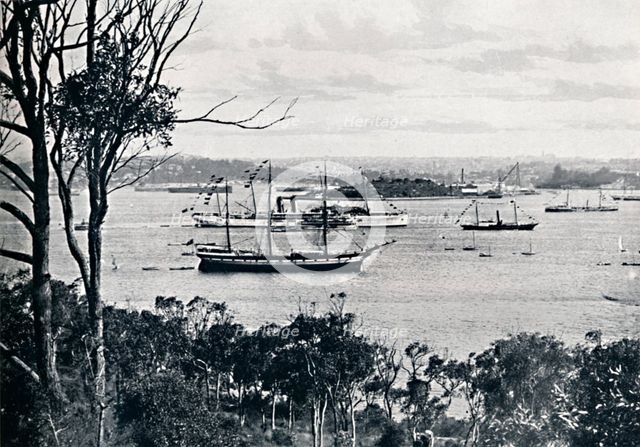 'View of Sydney Harbour from North Shore, No. 1, c1900. Creator: Unknown.