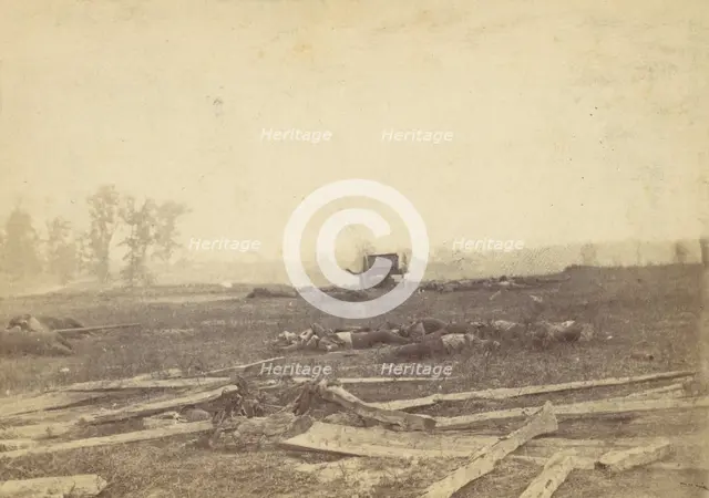 View on the Battlefield of Antietam, September 1862, 1862. Creator: Alexander Gardner.