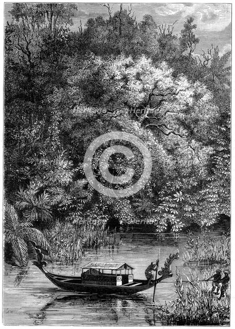 View on the Dodinga River, New Guinea, 1877. Artist: Unknown