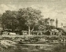 View on the Delta of the Nile 1890. Creator: Unknown