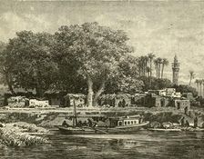 View on the Delta of the Nile 1890. Creator: Unknown