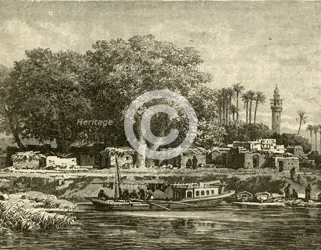 'View on the Delta of the Nile', 1890.   Creator: Unknown.
