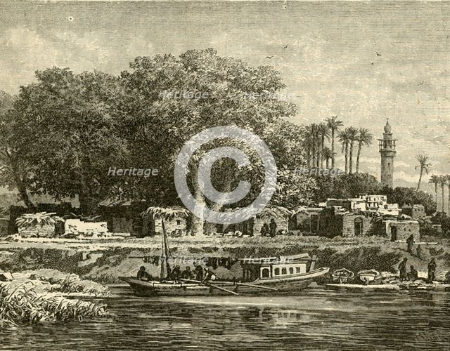 'View on the Delta of the Nile', 1890.   Creator: Unknown.