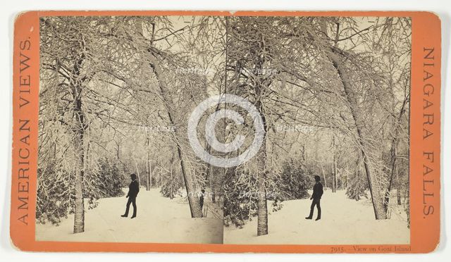 View on Goat Island, 1869/73. Creator: Anthony & Company.