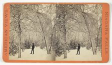 View on Goat Island, 1869/73. Creator: Anthony & Company