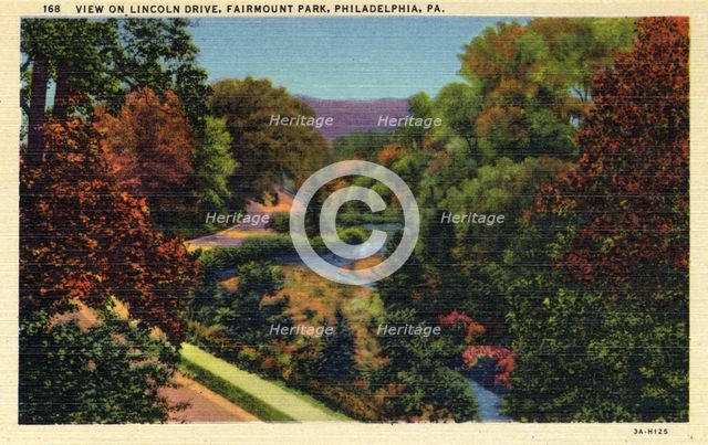 View on Lincoln Drive, Fairmount Park, Philadelphia, Pennsylvania, USA, 1933. Artist: Unknown