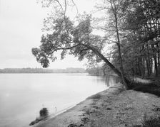 View on Long Point, Lake Chautauqua, c1898. Creator: Unknown